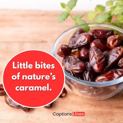 175+ Best Dry Fruit Captions & Quotes For Instagram 3 Dates Dry Fruits Quotes