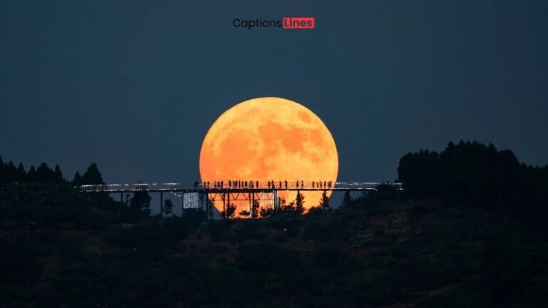 Moon Captions For Instagram